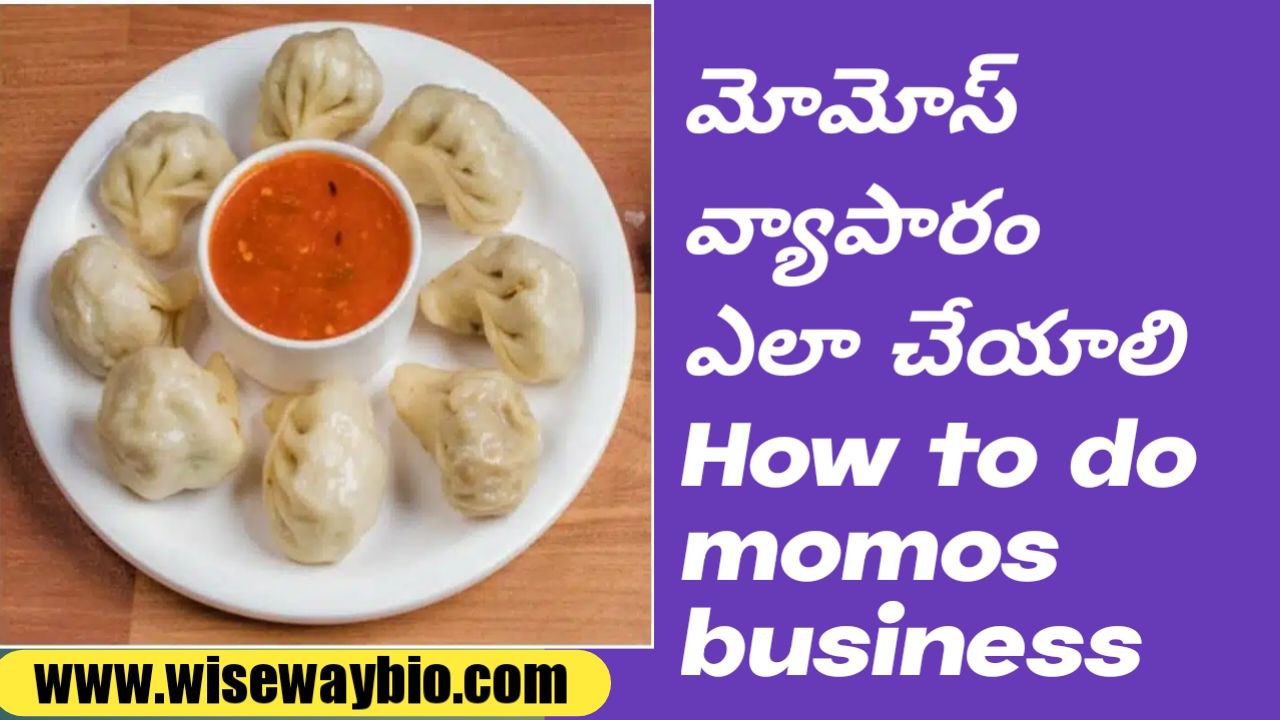 How to do momos business