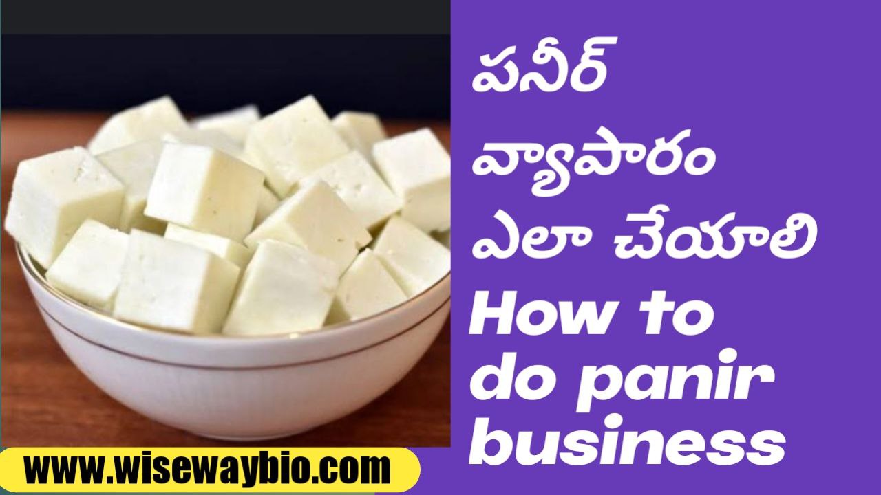How to do panir business