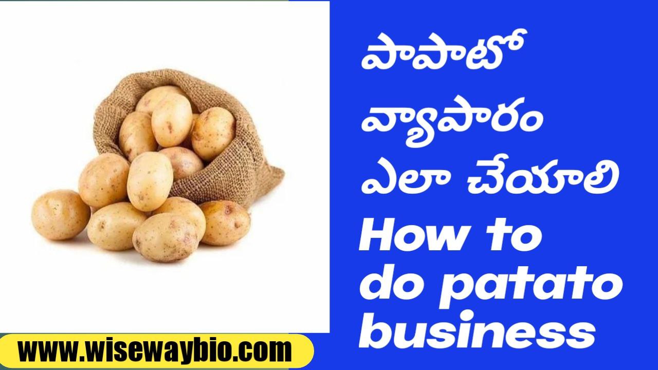 How to do potato business