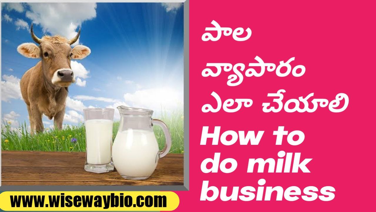 How to do milk business