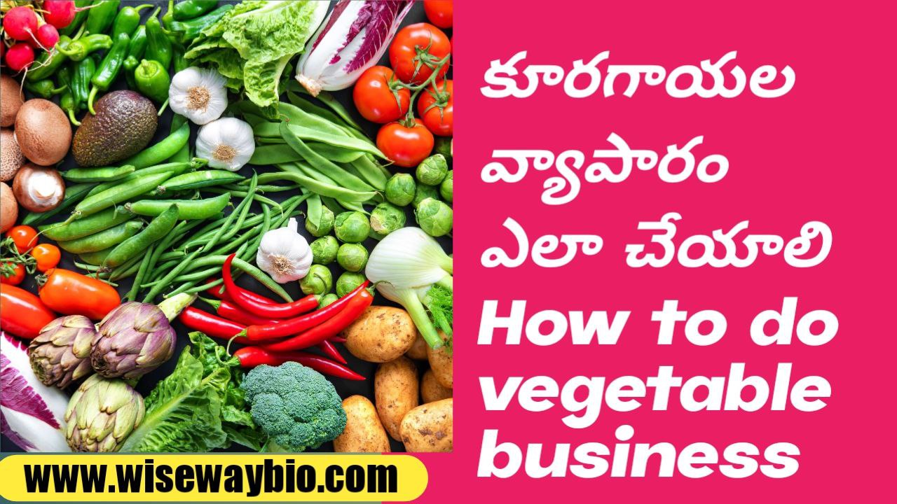 How to do vegetables business