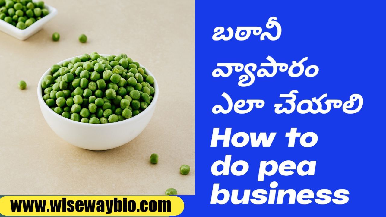 How to do pea business