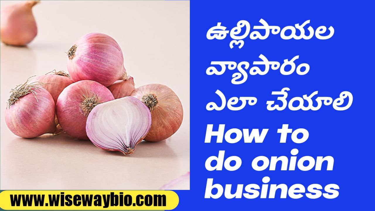 How to do onion business